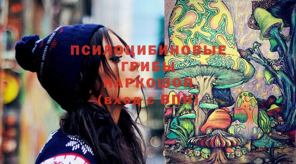 мдпв Кинешма