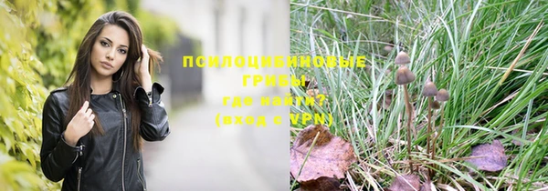 мдпв Кинешма
