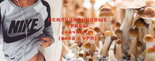 мдпв Кинешма