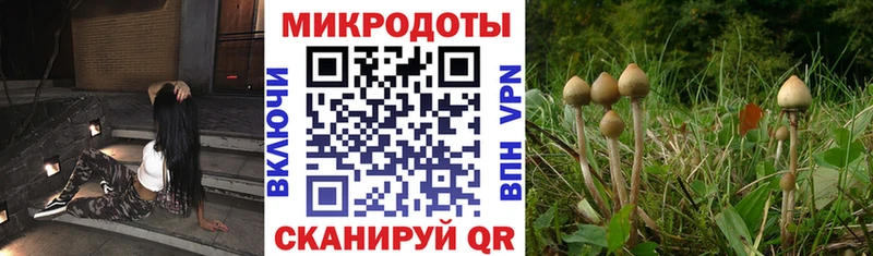 Псилоцибиновые грибы ЛСД  Купить  Болохово 